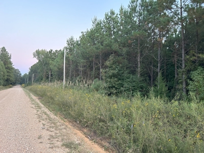 Timber Parcel W/ Utilities on Road near Gurdon, AR for Sale - image 10