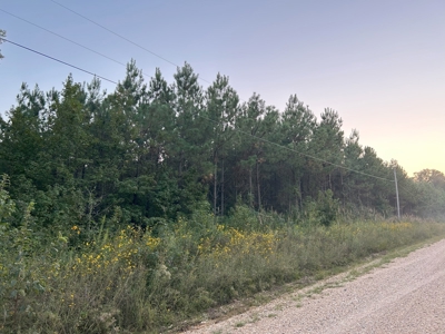 Timber Parcel W/ Utilities on Road near Gurdon, AR for Sale - image 4