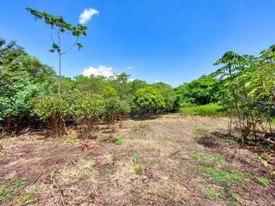 Coastal Titled and RoP land for Sale, Bocas del Toro - image 5