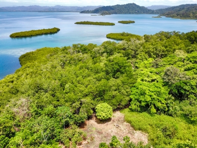 Coastal Titled and RoP land for Sale, Bocas del Toro - image 15