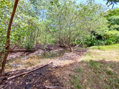 Coastal Titled and RoP land for Sale, Bocas del Toro - image 1