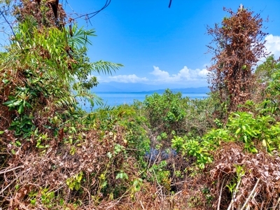 Coastal Titled and RoP land for Sale, Bocas del Toro - image 7