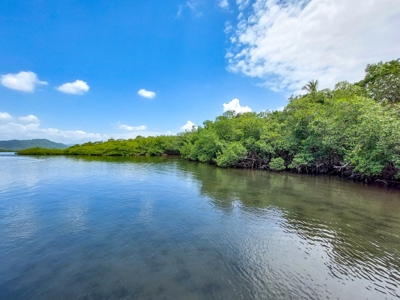 Coastal Titled and RoP land for Sale, Bocas del Toro - image 10