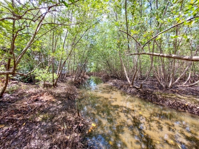 Coastal Titled and RoP land for Sale, Bocas del Toro - image 4