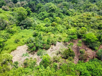 Coastal Titled and RoP land for Sale, Bocas del Toro - image 14
