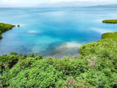 Coastal Titled and RoP land for Sale, Bocas del Toro - image 16