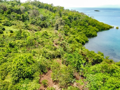 Coastal Titled and RoP land for Sale, Bocas del Toro - image 17