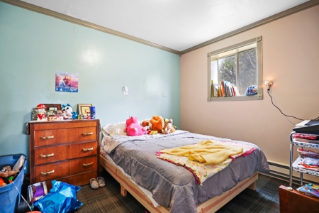 Private Log Cabin With Acreage For Sale in Mancos, CO! - image 35