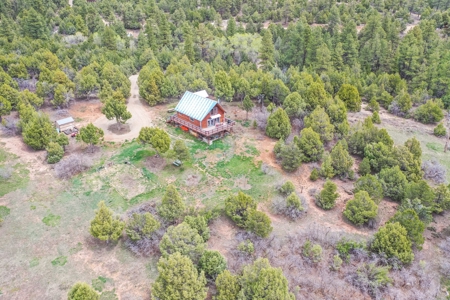 Private Log Cabin With Acreage For Sale in Mancos, CO! - image 8