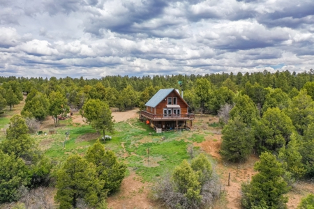 Private Log Cabin With Acreage For Sale in Mancos, CO! - image 10