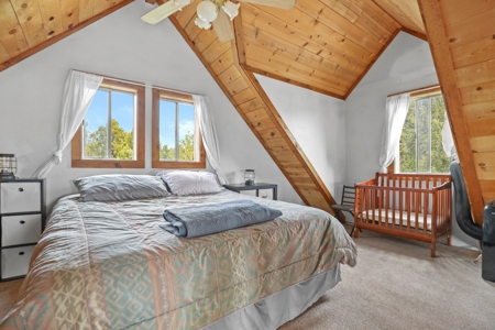 Private Log Cabin With Acreage For Sale in Mancos, CO! - image 25