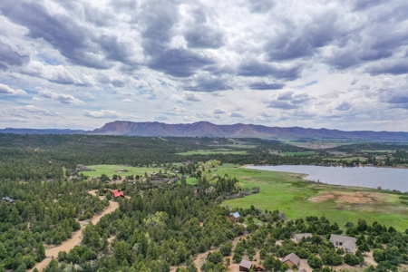 Private Log Cabin With Acreage For Sale in Mancos, CO! - image 5