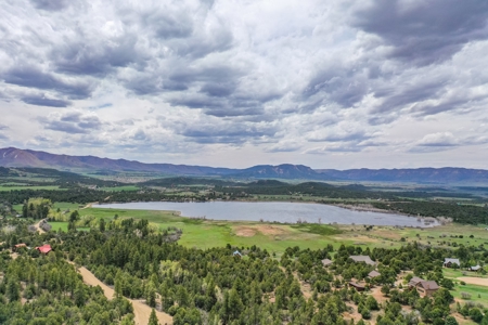 Private Log Cabin With Acreage For Sale in Mancos, CO! - image 4