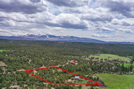 Private Log Cabin With Acreage For Sale in Mancos, CO! - image 1