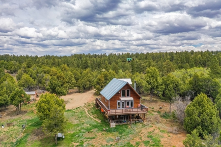 Private Log Cabin With Acreage For Sale in Mancos, CO! - image 9