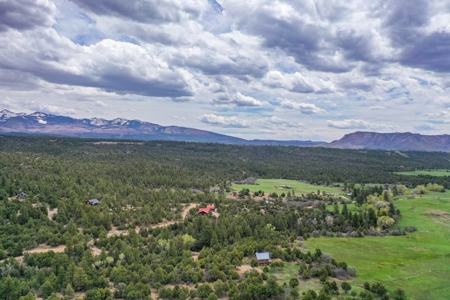 Private Log Cabin With Acreage For Sale in Mancos, CO! - image 6