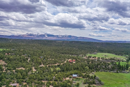 Private Log Cabin With Acreage For Sale in Mancos, CO! - image 7