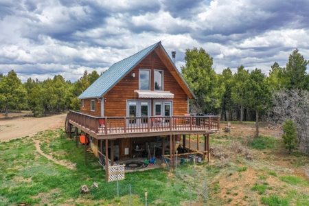 Private Log Cabin With Acreage For Sale in Mancos, CO! - image 11