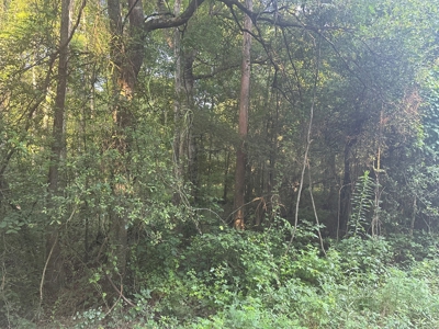 Hardwood Land W/ Creek on Lawson Road for Sale Union Co., AR - image 2