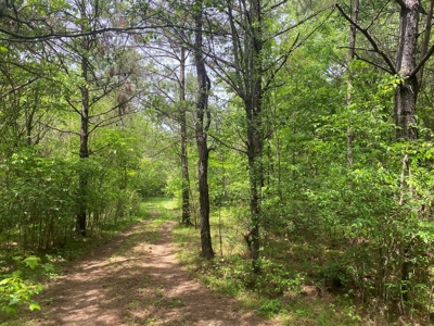 Hunting Land For Sale In Tn. Year Round Water, 107.977 Acres - image 12