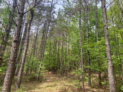 Hunting Land For Sale In Tn. Year Round Water, 107.977 Acres - image 23