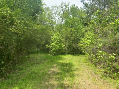 Hunting Land For Sale In Tn. Year Round Water, 107.977 Acres - image 13