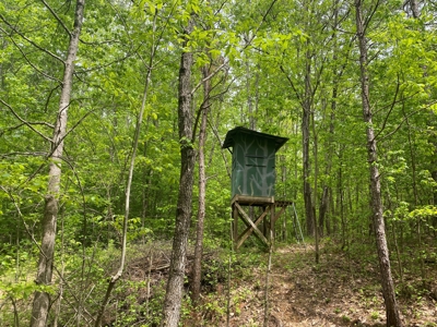 Hunting Land For Sale In Tn. Year Round Water, 107.977 Acres - image 1