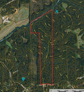 Hunting Land For Sale In Tn. Year Round Water, 107.977 Acres - image 5