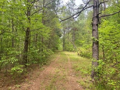 Hunting Land For Sale In Tn. Year Round Water, 107.977 Acres - image 4