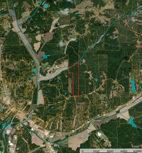 Hunting Land For Sale In Tn. Year Round Water, 107.977 Acres - image 6
