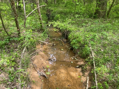 Hunting Land For Sale In Tn. Year Round Water, 107.977 Acres - image 3