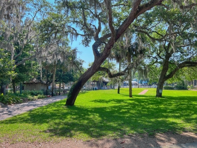 Sunflower Cottage - Steinhatchee Landing! - image 27