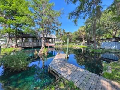 Sunflower Cottage - Steinhatchee Landing! - image 25
