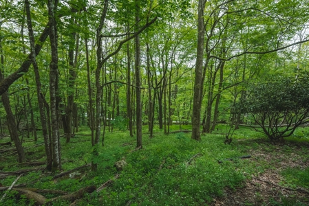 Mountain Chalet for Sale at Auction in Seven Devils NC - image 24