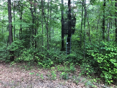 Small Hunting Land Parcel for Sale in Grant County, Arkansas - image 1