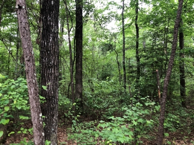 Small Hunting Land Parcel for Sale in Grant County, Arkansas - image 3
