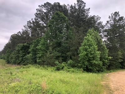 Timberland W/ Utilities on Road near Sheridan, AR for Sale - image 2