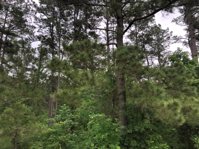 Timberland W/ Utilities on Road near Sheridan, AR for Sale - image 1