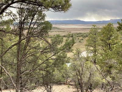 Weekend Get-Away Close To Heron Lake And Chama New Mexico - image 14