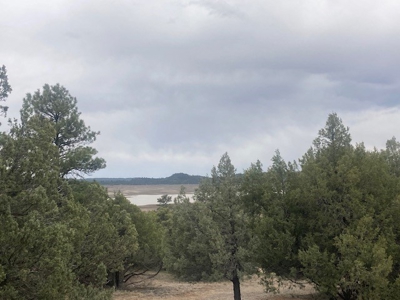Weekend Get-Away Close To Heron Lake And Chama New Mexico - image 7