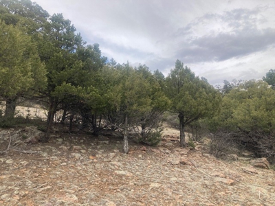 Weekend Get-Away Close To Heron Lake And Chama New Mexico - image 10