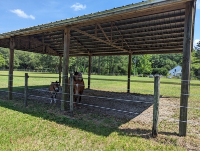 Home For Sale In Wellborn Florida - image 30