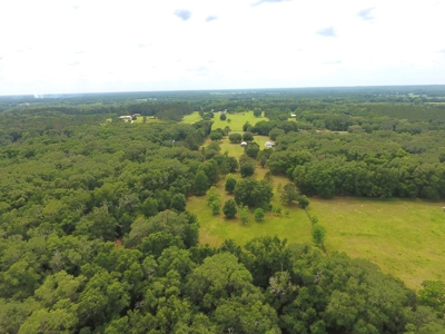 Home For Sale In Wellborn Florida - image 37