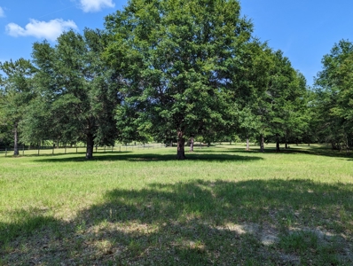 Home For Sale In Wellborn Florida - image 36