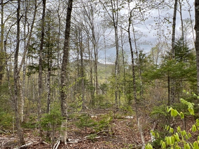 Bear Mountain Homesite - image 10