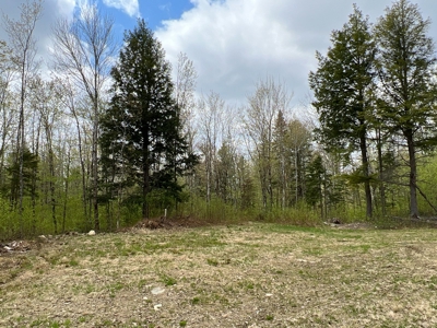 Bear Mountain Homesite - image 1