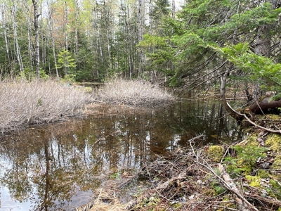 Bear Mountain Homesite - image 5