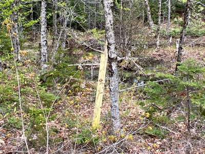 Bear Mountain Homesite - image 11