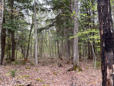 Bear Mountain Homesite - image 9
