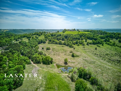 1634 Acre Ranch Retreat Mountain Views For Sale in Harrison - image 8